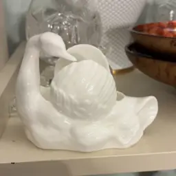Swan
