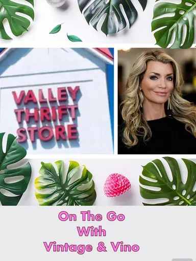 On The Go, With Vintage & Vino!  Let’s See What We Can Find At Valley Thrift!!!!  