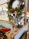 Foxysfinds