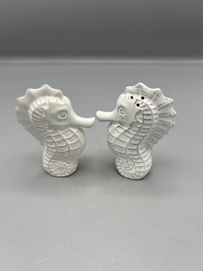 Ceramic Seahorse Salt & Pepper set