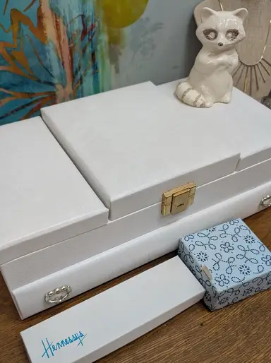 Pop-up Auction Jewelry Dig