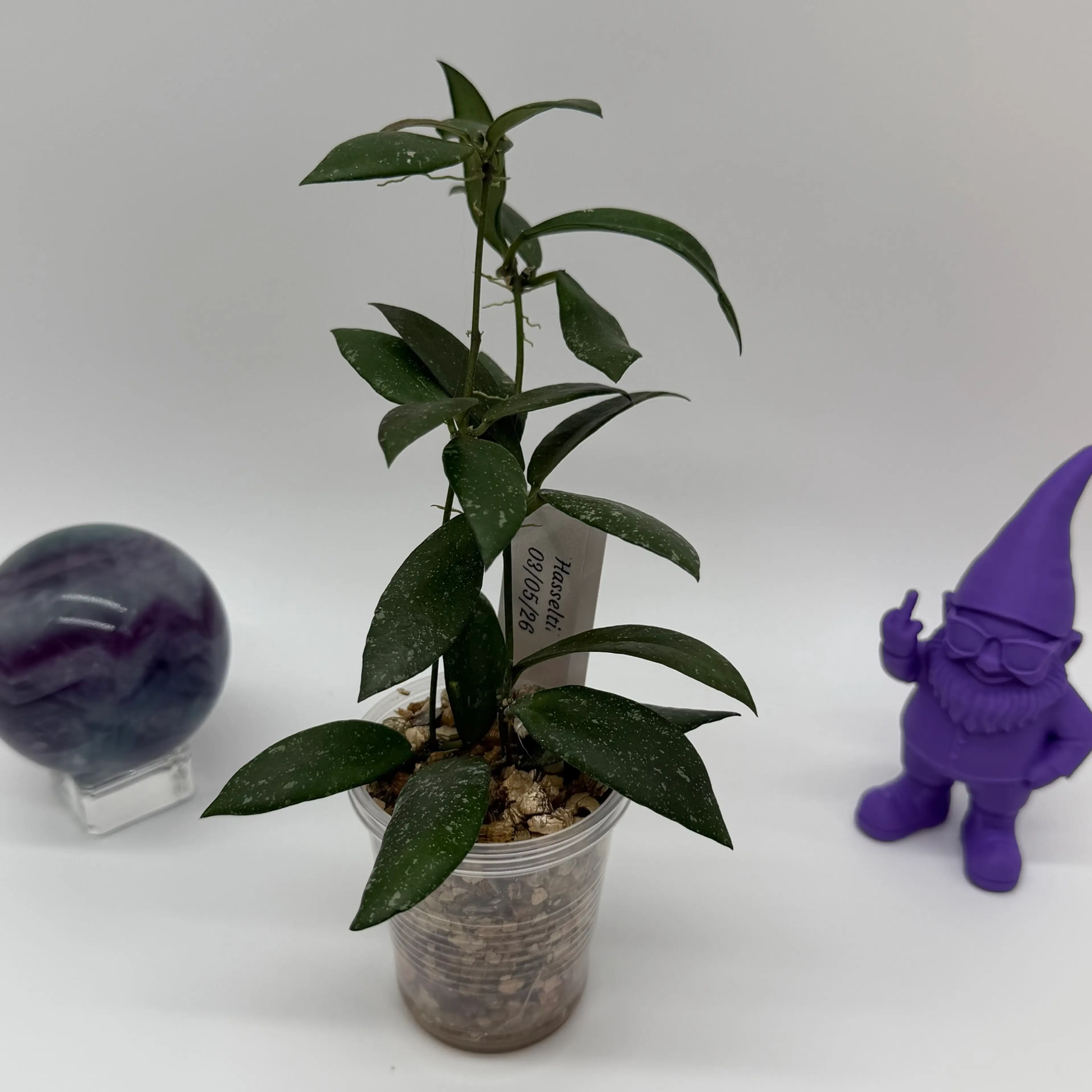 Image 1 of 3