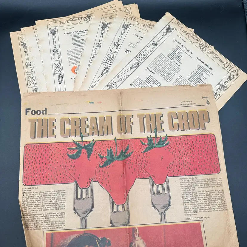 Strawberry News & Recipe Pages Collage/Junk Journal Lot