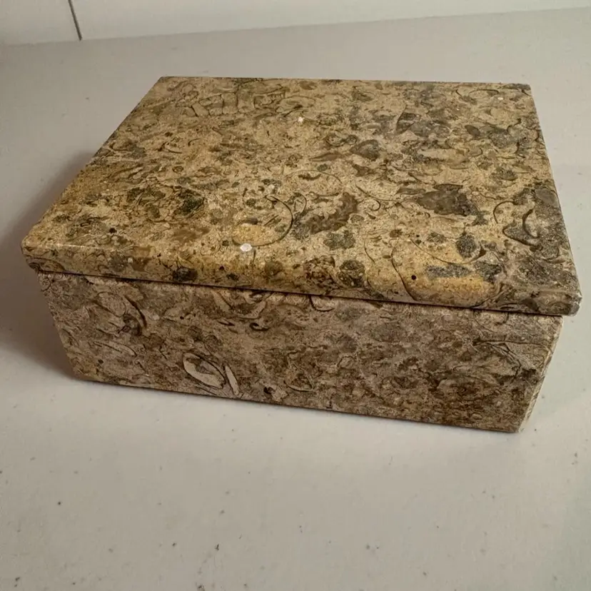 Natural Fossil Stone Trinket/Jewelry Box