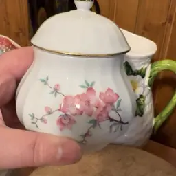 Cherry Blossom Bavaria Germany