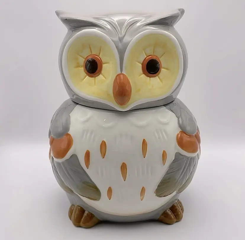 OWL!🦉 Pier 1 Imports, ceramic 2 piece cookie jar. Adorable!