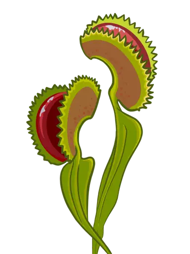 Carnivorous Plants 101
