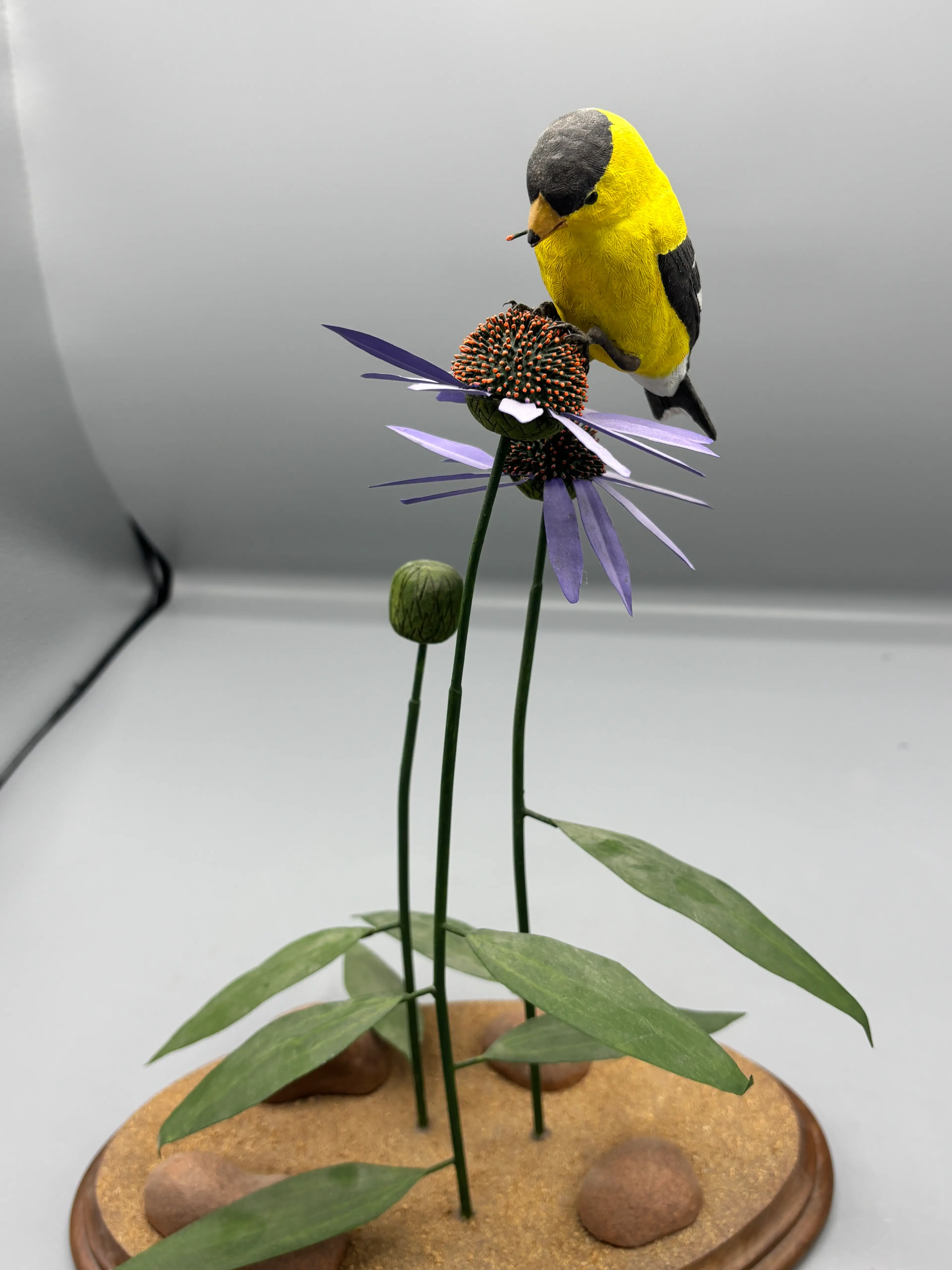 Image 2 of 7