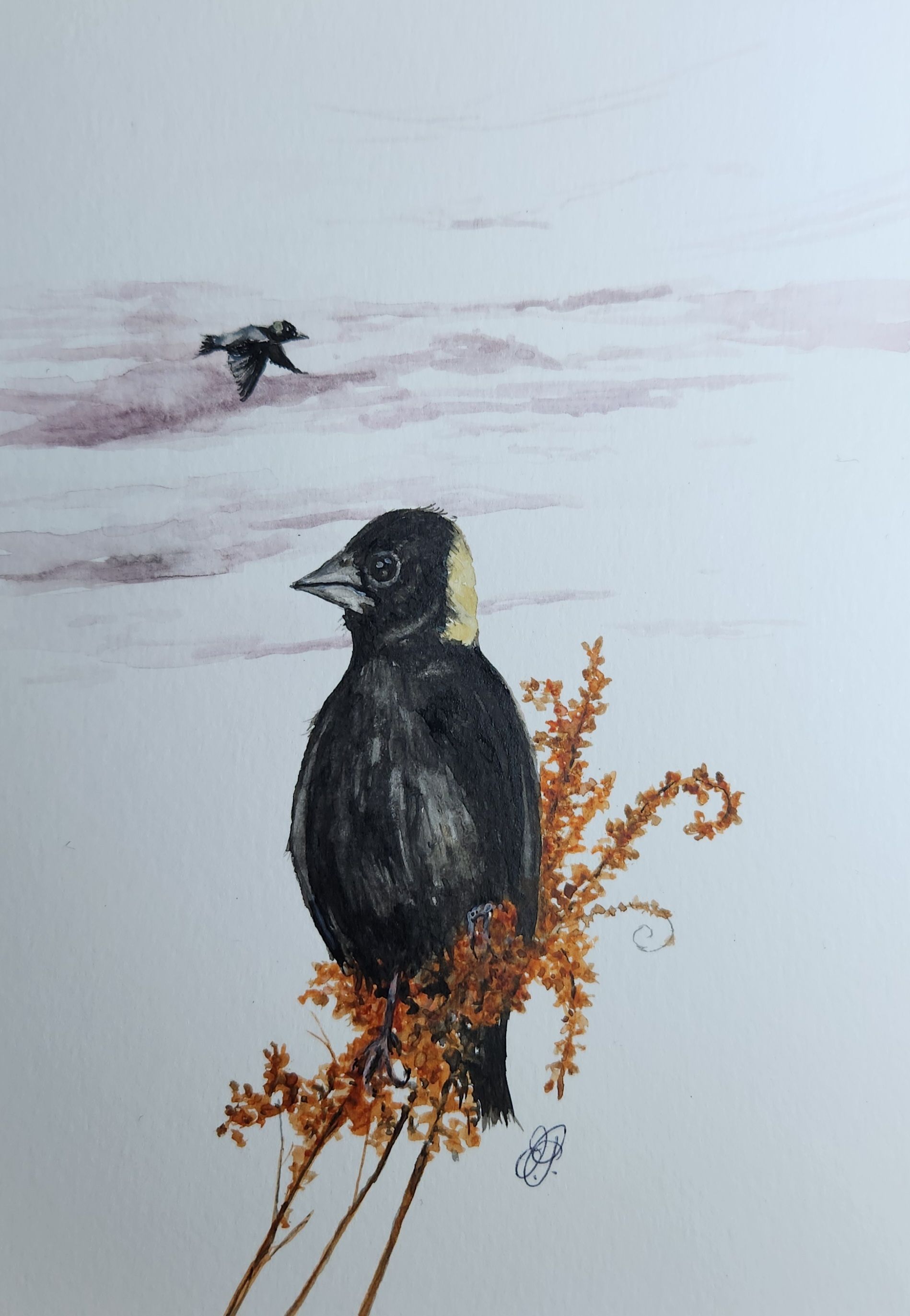 Niknax · Yellow-Headed Blackbird Original Watercolor Painting