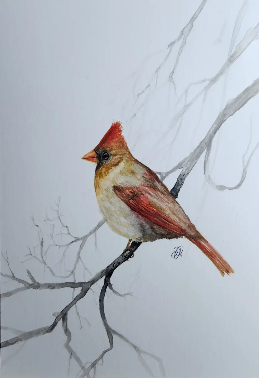 Cardinal Original Watercolor Painting Signed By The Artist 5x7