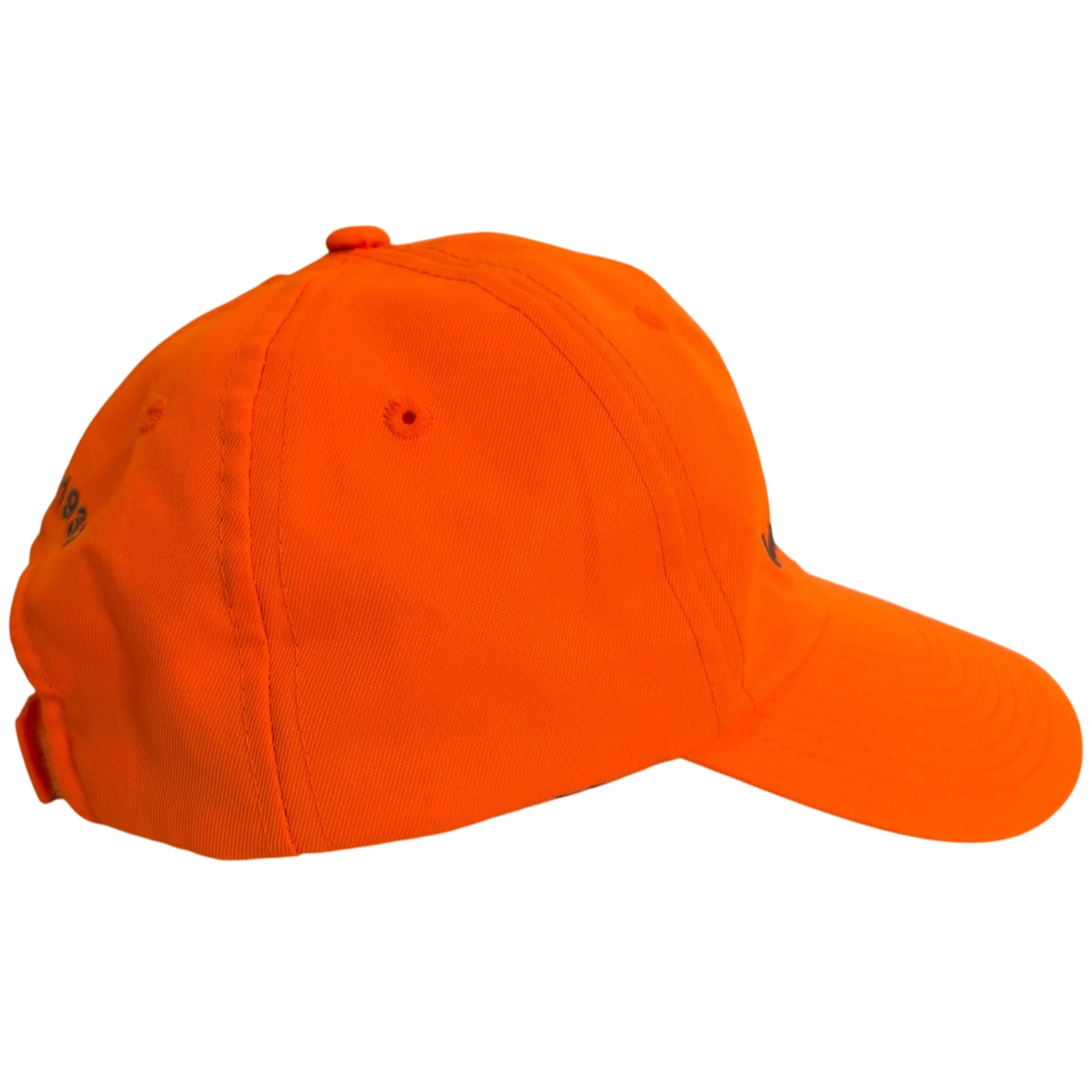 Image 2 of 6