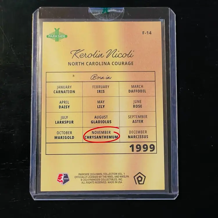 #00 Kerolin Nicoli GOLD Flowers /10 Parkside Sealed Case Exclusive