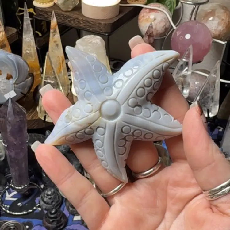 Agate Starfish 22a