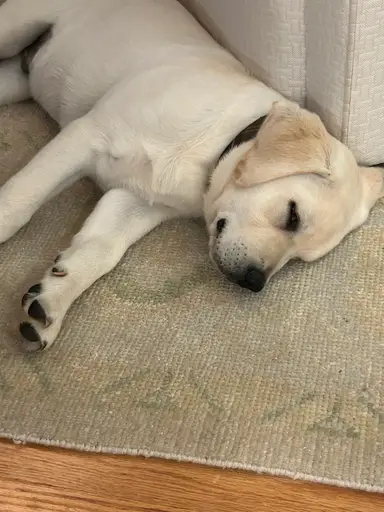 Rise And Shine Jewelry Playtime With Adored 