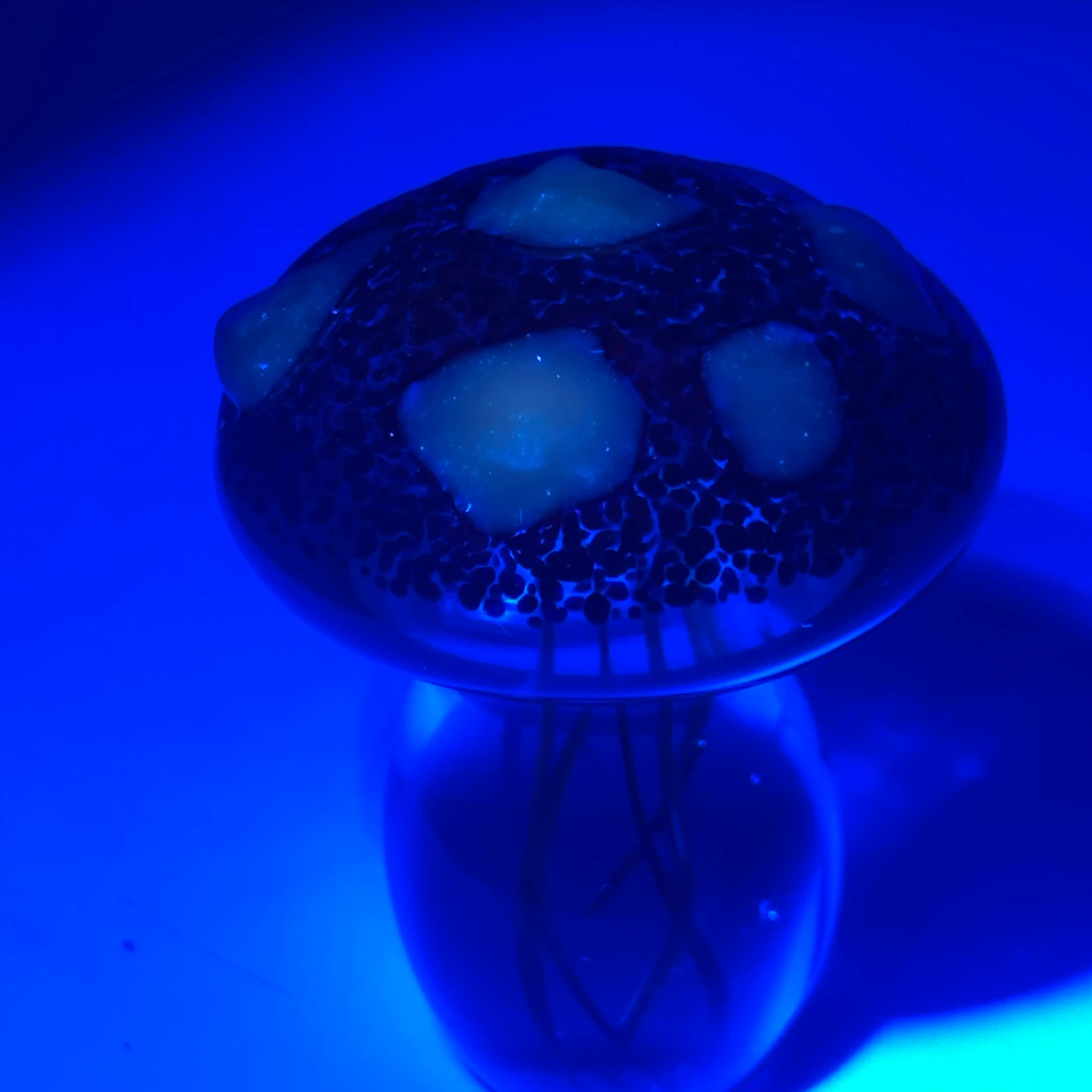 Image 2 of 5