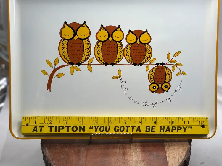 Vintage Whimsical Owl Owls On Branch Tray 14x10 ‘ I Like To Do Things My Way ‘