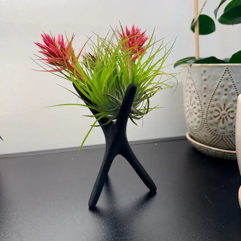 Airplant/Sphere Stand Large