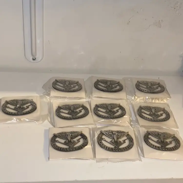 lot of 10 US Identification Career Counselor Badges, Rare