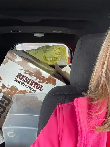 Auction Unboxing - Shop Right Out Of My Car 