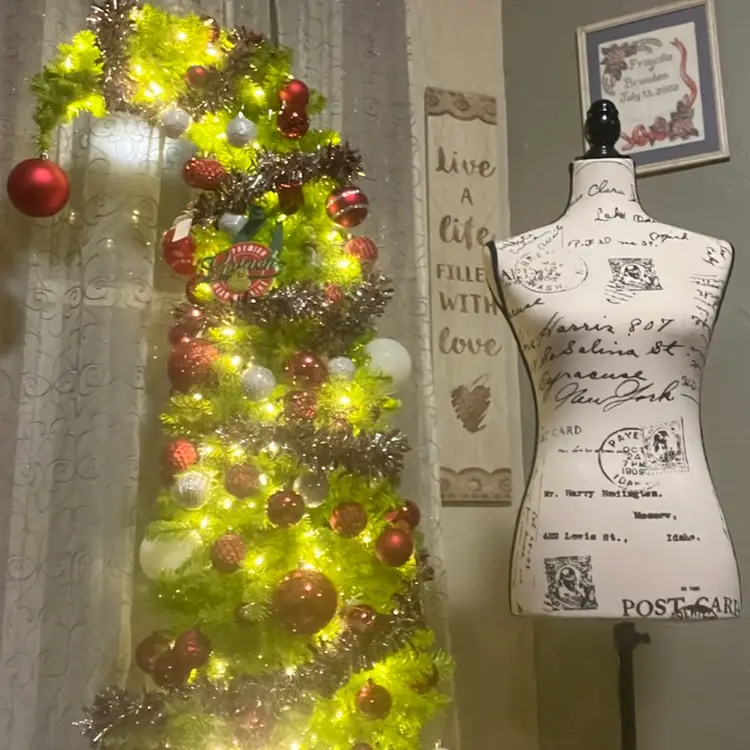 Christmas Item! Buyers Choice