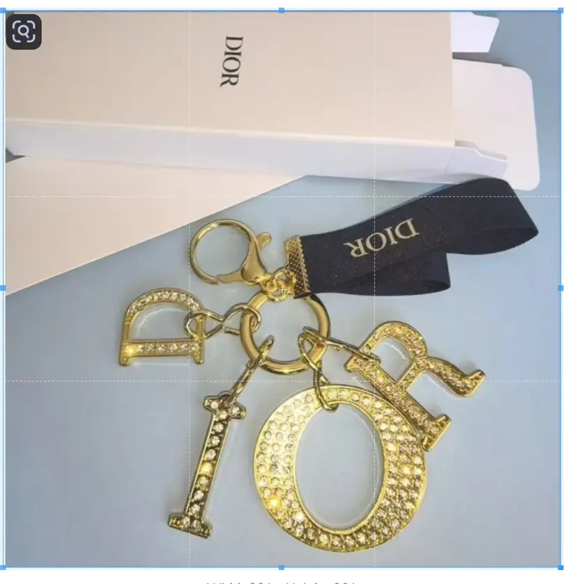 Dior Rhinestone Keyring / Bag Charm – GWP Exclusive