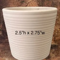 Terra cotta - beige 2.5”