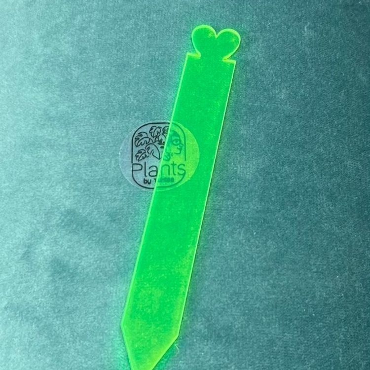 Green Heart plant name marker 
( 5 pack )