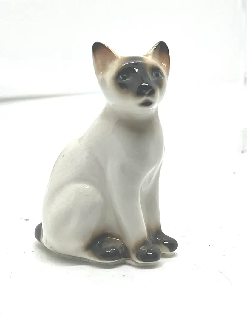Vintage Siamese Cat Blue Eyes