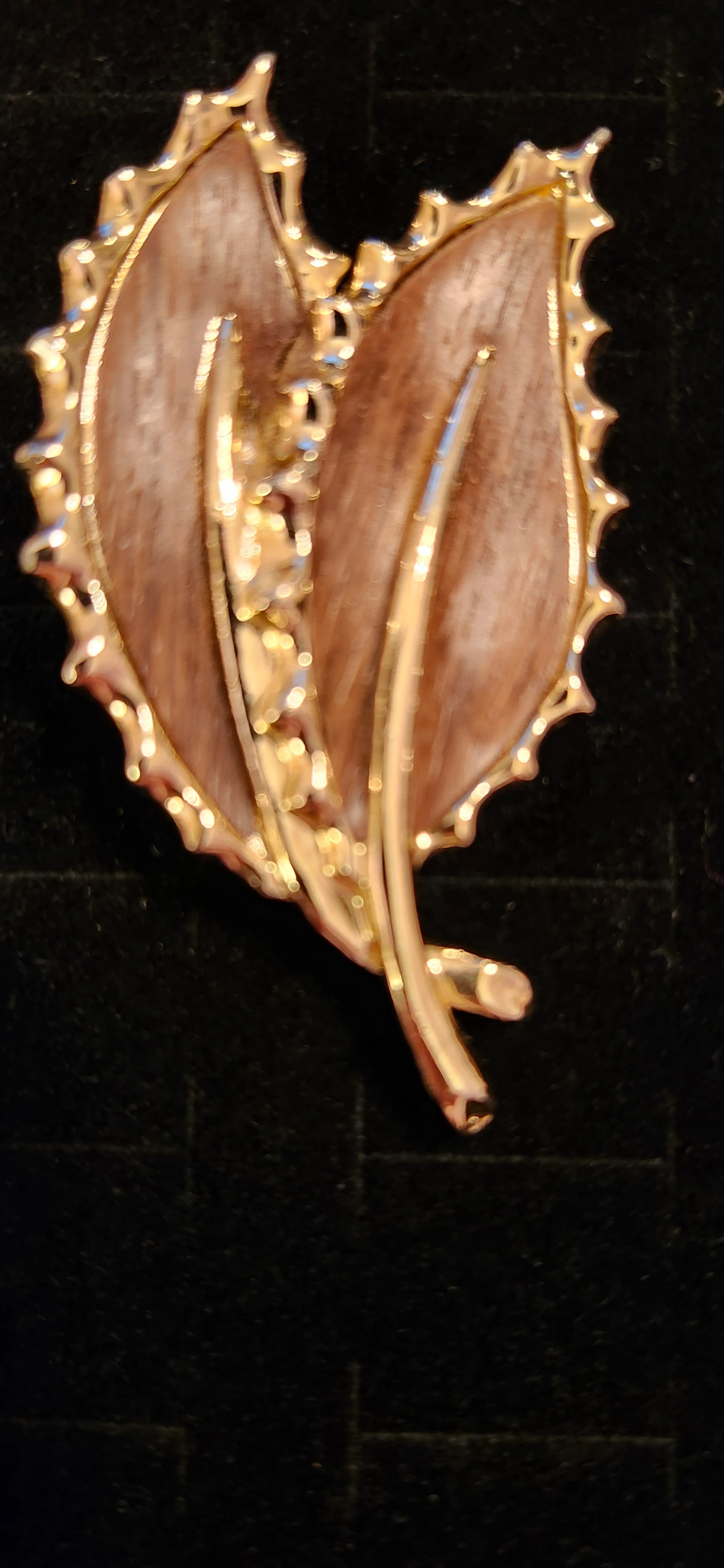 Image 3 of 8