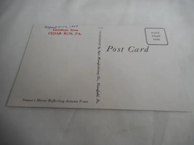 Vintage Postcard unposted Cedar Run Pennsylania Lake fall nature 1950s