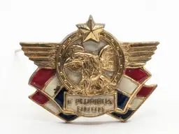 Vintage Accessocraft WWII Patriotic War Relief Brooch Gold Tone