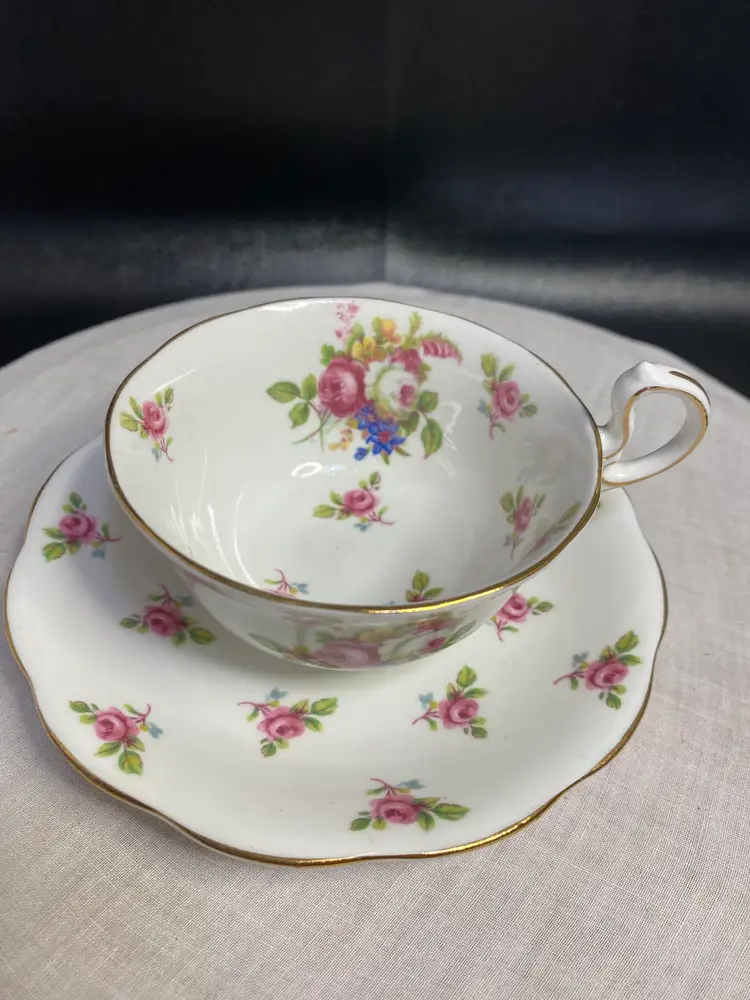 Vintage Royal Standared Devon China Tea Cup and Saucer