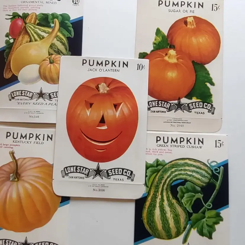 Lot Of 5 Vintage Halloween JOL Gourds Pumpkins Seed Packets EMPTY Jack O Lantern