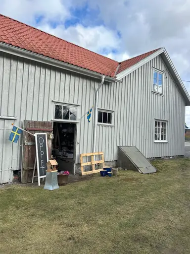 Shop w/Me At Mia’s All-Ting