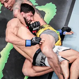 Dhenny Shipping Label