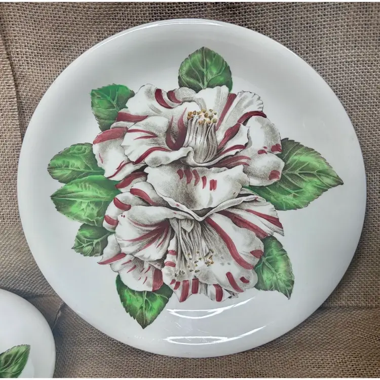 Vintage Johnson Brothers Camellia Floral Dinner Plates Set of 2 Cottagecore