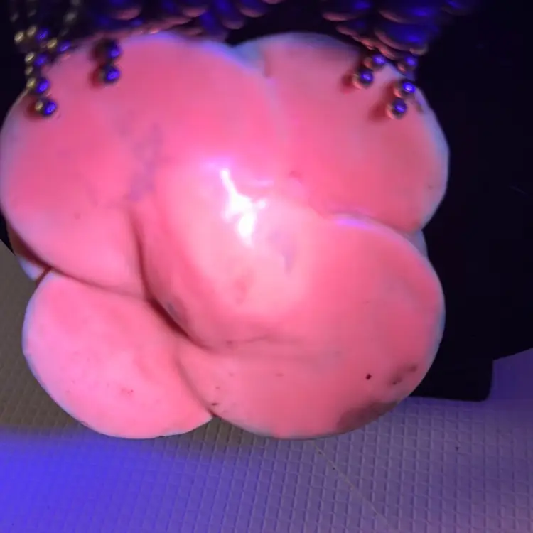 15” Statement Necklace Think It Is Shell Or It Could Be Mother Of Pearl