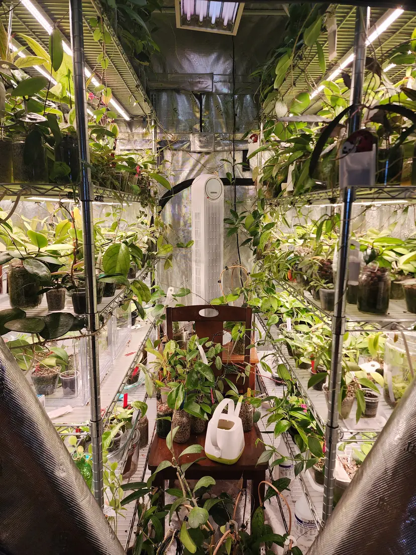 Livestream thumbnail