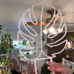 Monstera Trellis