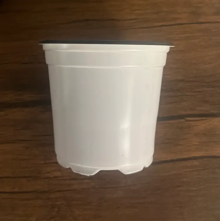 Pack Of 5 Starter Pots