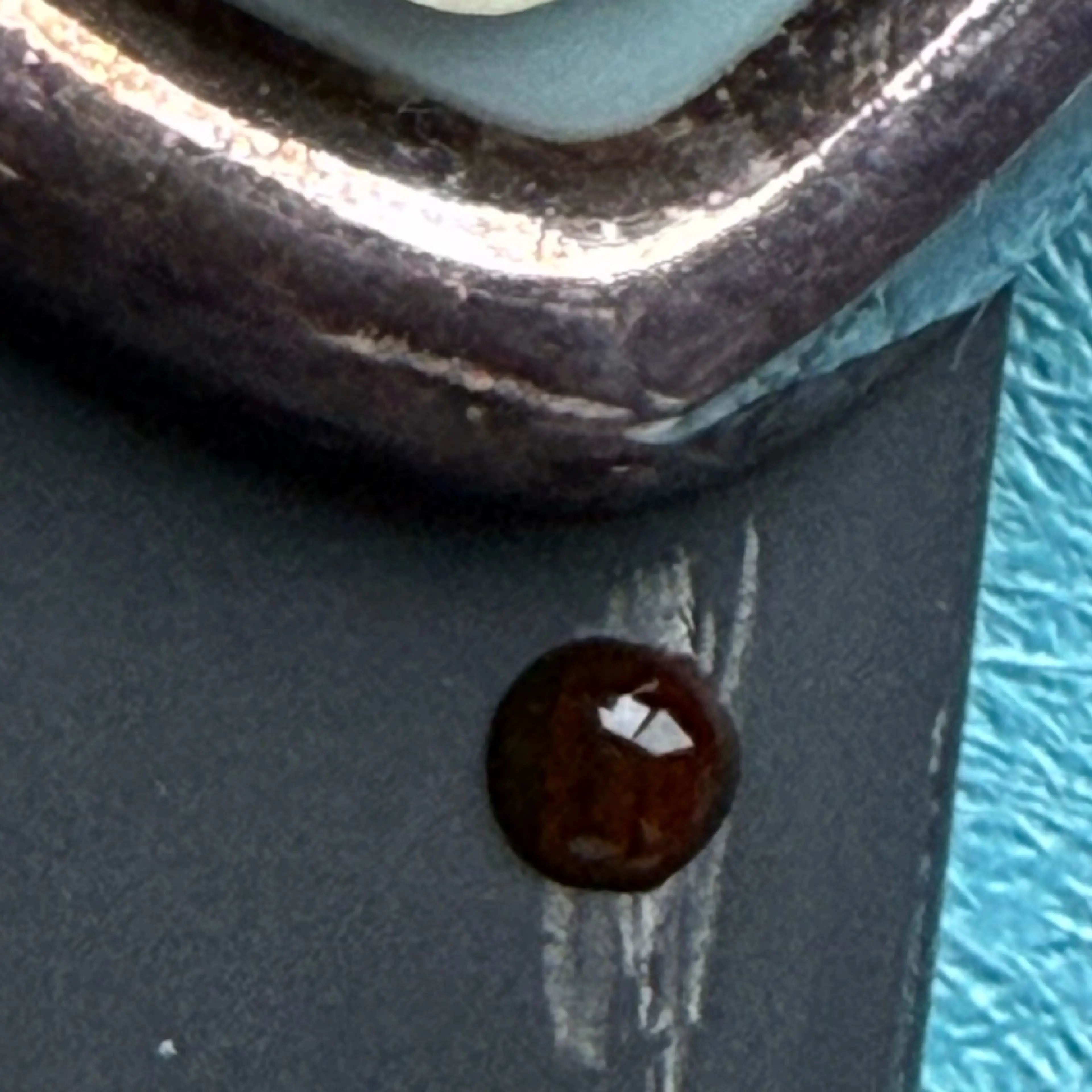 Image 4 of 4