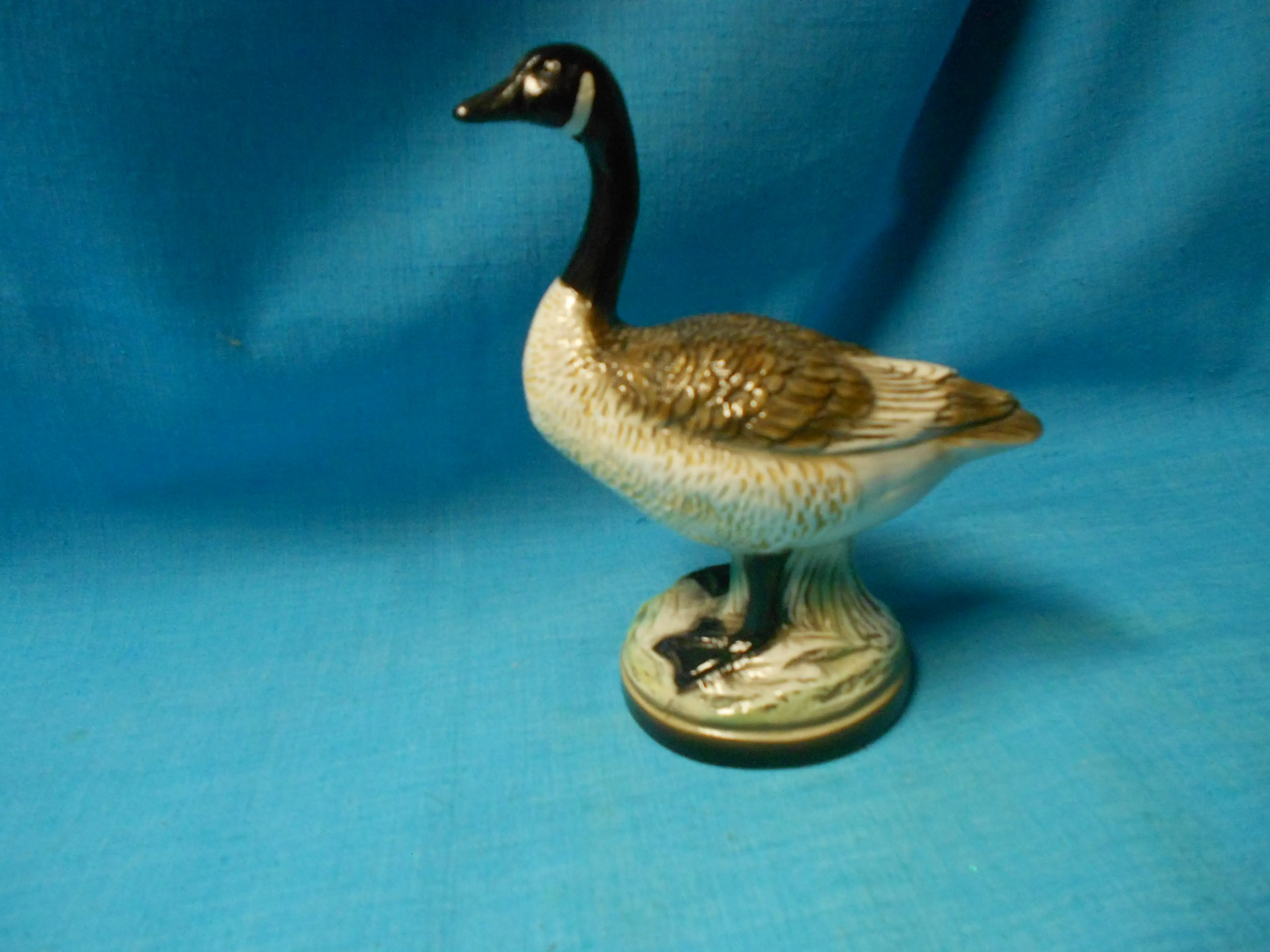 Image 1 of 12