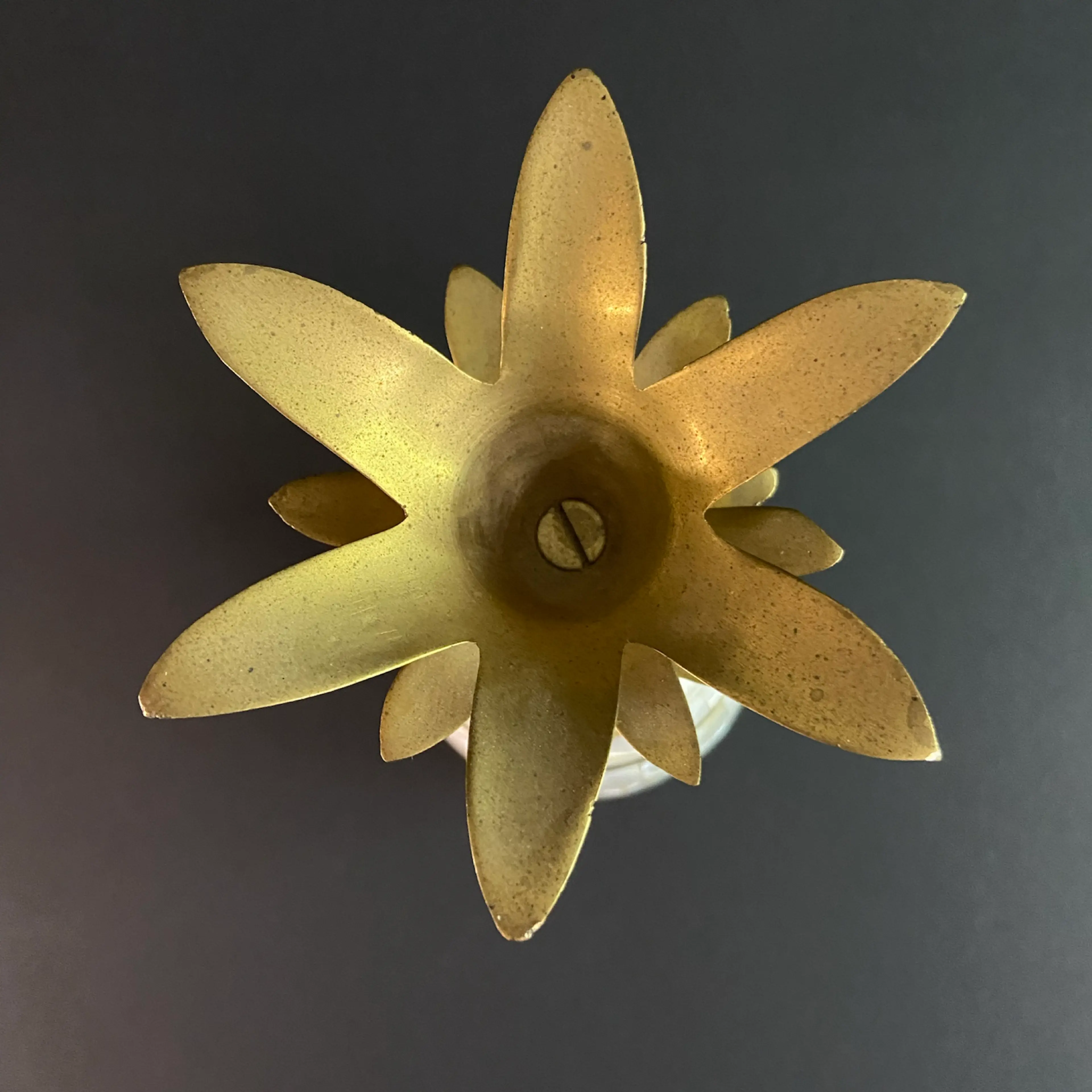 Image 3 of 14
