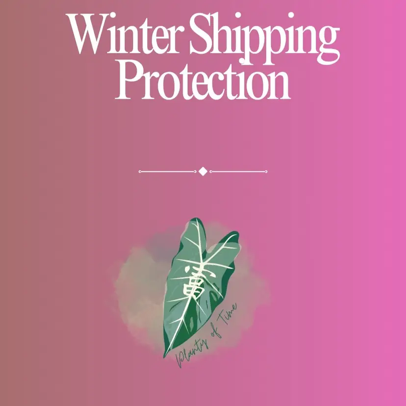 Winter Shipping Protection Add Ons