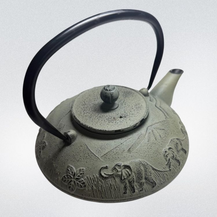 Cast Iron Teapot