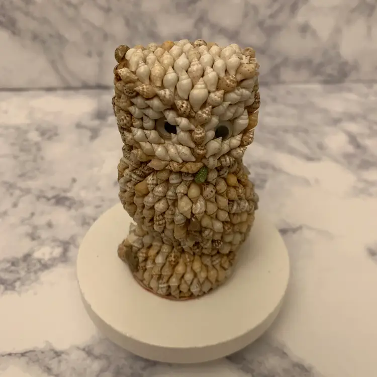 Weird Shell Art Owl with Peeking Strange Eyes