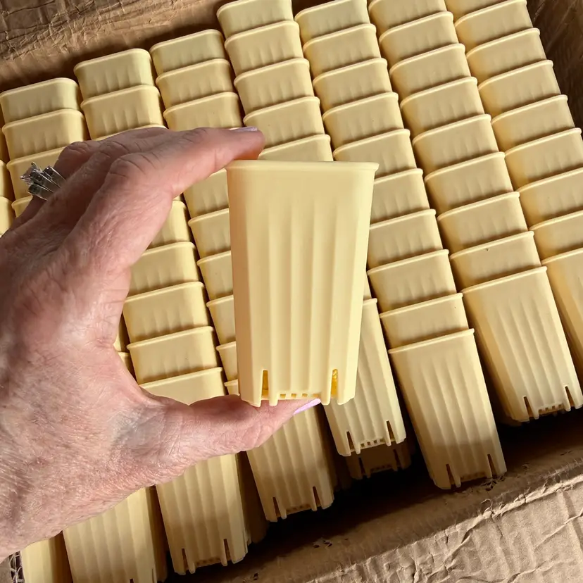 (Set of 10) 2βx3β pale yellow pots