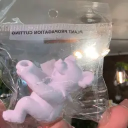 Bear Propogation Plant Holder