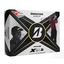 #31 $1 Start! Full Dozen Golf Ball Dozen