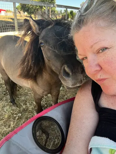 Glass sale Pre-Bid party. Sorry I Mixed Up My Times For The Train Yesterday 🫶